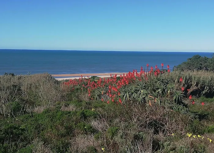 Pearl Of * Nazaré