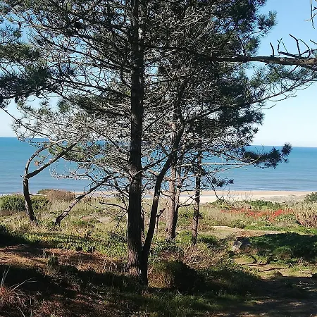 Pearl Of Appartement Nazaré